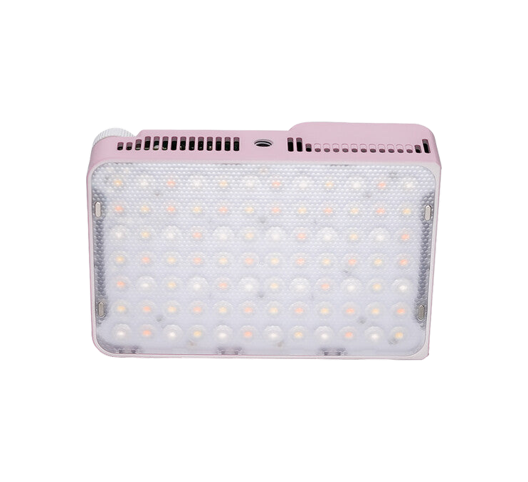 Amaran Ace 25x