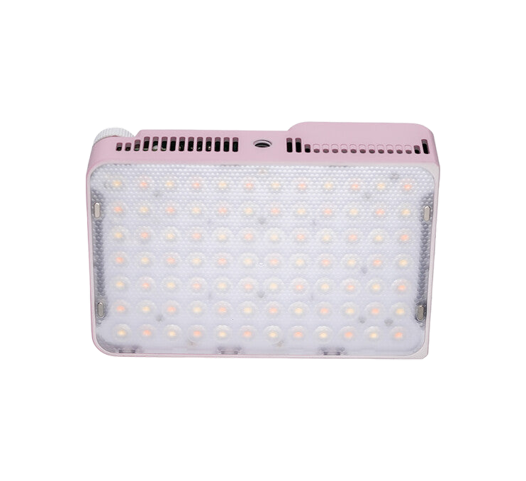 Amaran Ace 25x