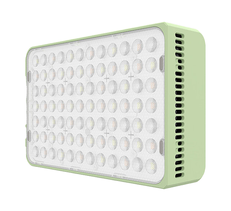 Amaran Ace 25x