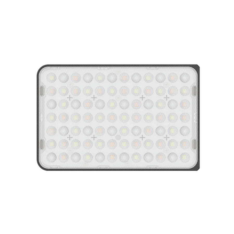 amaran Ace 25c