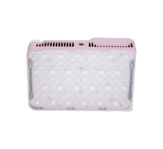 Amaran Ace 25x