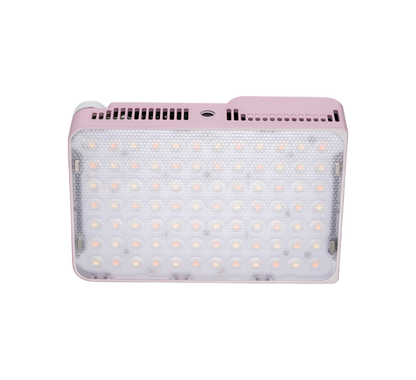 Amaran Ace 25x