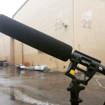 Deity Mic