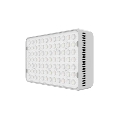 amaran Ace 25c